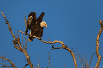  Hagerman NWR 