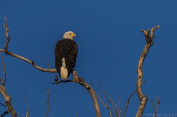  Hagerman NWR 