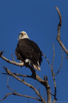  Hagerman NWR 